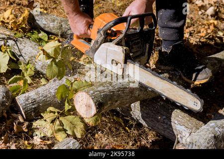 A seguito di una violenta tempesta di uragani, i lavoratori municipali tagliano l'albero sradicato nel parco. Foto Stock