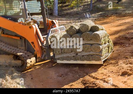 Carrello elevatore a forche per lo scarico di rotoli di erba verde in pallet per l'architettura paesaggistica in cantiere con dumper a braccio usato Foto Stock