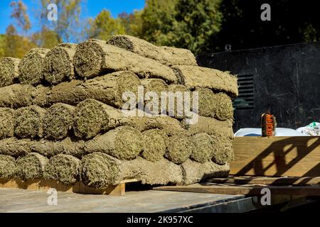 Dumper con braccio che scarica i rotoli di erba verde in rotoli che si trovano sui pallet Foto Stock