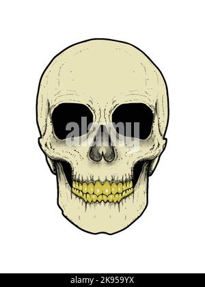 Un'illustrazione vettoriale di un cranio umano scricchiolante beige chiaro isolato su uno sfondo bianco Illustrazione Vettoriale