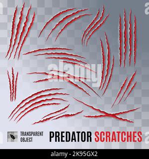 I predatori graffiano i graffi su sfondo trasparente. Scratch Claw animale e illustrazione Shred da Claw Illustrazione Vettoriale