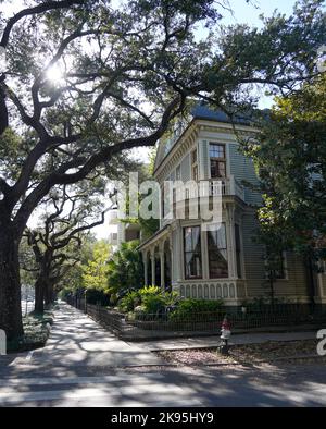New Orleans, Stati Uniti d'America - St Charles Avenue, grandi alberi e casa Foto Stock