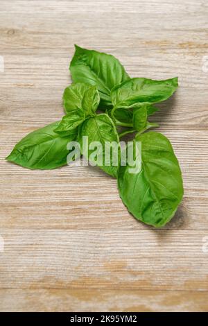 Pianta di basilico dolce verde da taglio su fondo di legno primo piano Foto Stock