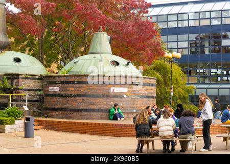 Repubblica d'Irlanda Eire Dublino NCAD National College of Art and Design campus studenti vecchi defunti whiskey alambs break chilling Red Square Foto Stock