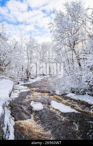 Fiume rapido in una foresta innevata Foto Stock