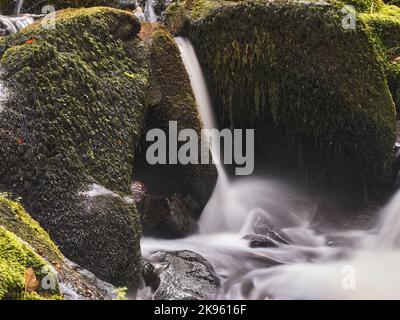 Lunga esposizione di piccola caduta di acqua e muschio coperto massi. Parte di Golitha Falls, Cornovaglia, Inghilterra Foto Stock