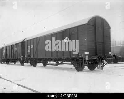 State Railways, SJ G 50233. Auto privata di proprietà della compagnia di spedizione del trasporto ASG. Foto Stock