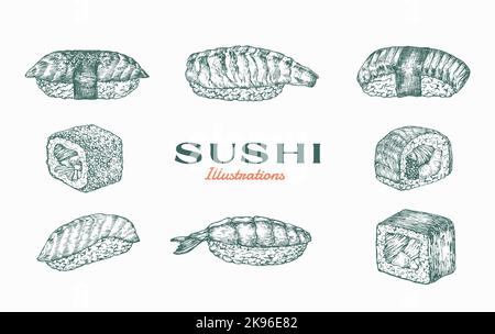 Illustrazione del vettore di astrazione sushi. Sollevamento di Sashimi, cibo asiatico disegnato a mano con coda di gamberi, raccolta di disegni di schizzi di rotoli di pesce al salmone. Giapponese Illustrazione Vettoriale
