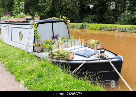 Pentole e piantatrici piantate con piante e fiori sul fronte o prua di un narrowboat, barca stretta o chiatta, Shropshire Union Canal, Cheshire, UK Foto Stock