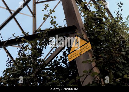 Segno giallo di alta tensione posto alla base di una torre elettrica, circondato da sottobosco forestale Foto Stock