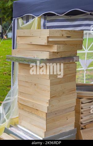 Honey Lake Kit di cornici e fondazioni profonde per alveare, confezione