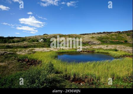 Una bella vista di un piccolo stagno tra il campo verde sotto il cielo blu vicino Thingvellir, Islanda Foto Stock