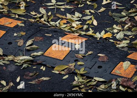 Il dosso della velocità si trova sul pavimento bagnato della strada con le foglie cadute che posano un tarmac nero, foto astratta di sfondo Foto Stock