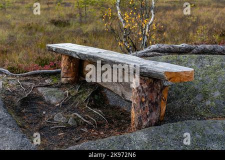 Primo piano di una panchina di legno su una roccia nel mezzo della palude nel Parco Nazionale del Teijo, Salo, Finlandia Foto Stock