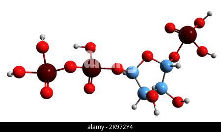 3D immagine di fosforibosil pirofosfato formula scheletrica - struttura chimica molecolare dell'intermedio biochimico isolato su sfondo bianco Foto Stock