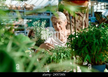 donna matura scelta di fiori in un negozio di fiori. Foto Stock