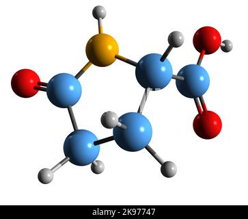 3D immagine della formula scheletrica dell'acido piroglutammico - struttura chimica molecolare dell'acido 5-ossopirrolidin-2-carbossilico isolato su sfondo bianco Foto Stock