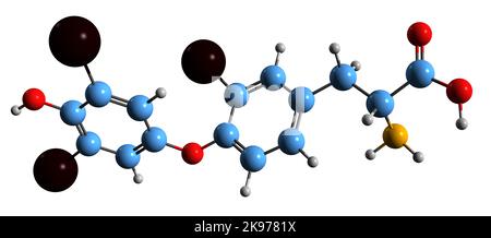 3D immagine della formula scheletrica della triiodotironina inversa - struttura chimica molecolare dell'isomero della triiodotironina isolato su sfondo bianco Foto Stock