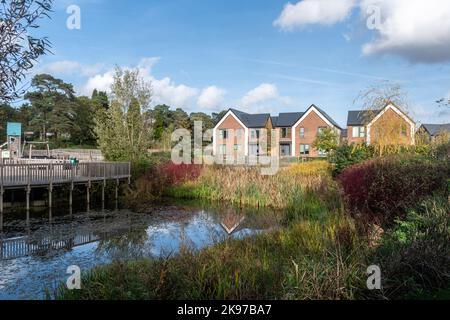 Nuovo sviluppo di alloggi chiamato Mindenhurst nel villaggio di Deepcut, Surrey, Inghilterra, Regno Unito, nel 2022. Trivselhus Scandi case in stile e stagno. Foto Stock