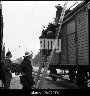 Esercizio di difesa civile. Concorso regionale per corpi di vigili del fuoco industriali e borghesi Foto Stock