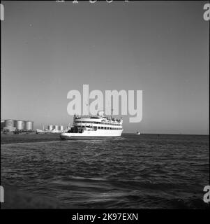 I traghetti del treno Malmöhus partono dal porto. La cisterna di petrolio con il testo Golfo sullo sfondo. Il traghetto Malmöhus fu costruito nel 1945 da Kockums Mechanical Verkstads AB a Malmö e fu di proprietà di SJ Färjetrafik a Malmö. Malmöhus è andato come traghetto passeggeri e treno tra Malmö e Copenaghen fino al 1974. Foto Stock