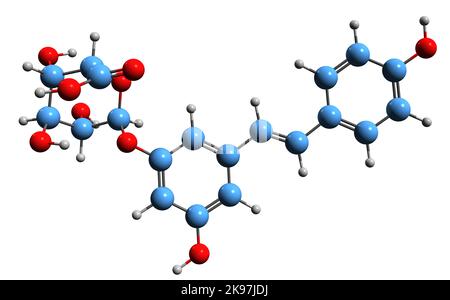 3D immagine della formula scheletrica trans-Resveratrol-3-o-glucuronide - struttura chimica molecolare del metabolita resveratrolo isolato su sfondo bianco Foto Stock