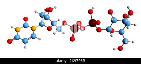 3D immagine di uridina difosfato glucosio formula scheletrica - struttura chimica molecolare di UDP-glucosio isolato su sfondo bianco Foto Stock