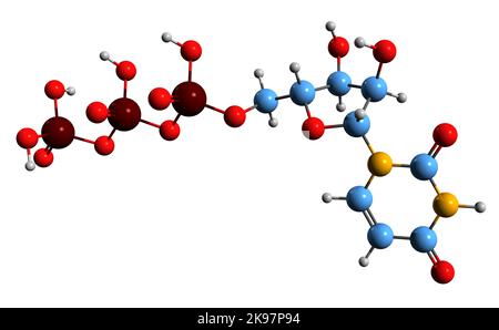 3D immagine di uridina trifosfato formula scheletrica - struttura chimica molecolare del metabolita UTP isolato su sfondo bianco Foto Stock