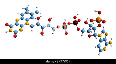 3D immagine di adenosina monofosfato formula scheletrica - struttura chimica molecolare del nucleotide AMP isolato su sfondo bianco Foto Stock