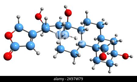 3D immagine di adonitossigenina formula scheletrica - struttura chimica molecolare di Adonis cardenolide isolato su sfondo bianco Foto Stock