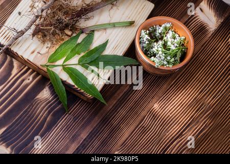 Fiori freschi di Valeriana officinalis in mortaio di legno. Compresse valeriane tra fiori bianchi sono sul tavolo. Utilizzato come alternativa al valio in m naturale Foto Stock