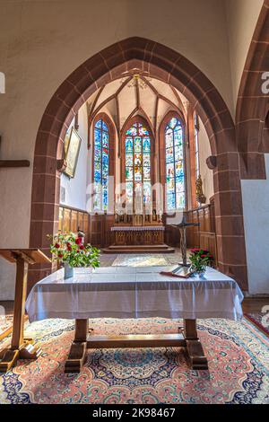 Interno della chiesa medievale di Saint-Jacques-le-Major in Hunawihr, villaggio tra i vigneti di Ribeauville, Riquewihr e Colmar in Alsazia wi Foto Stock