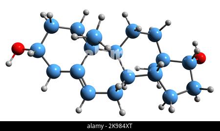 3D immagine di Androstenediol formula scheletrica - struttura chimica molecolare di androgeni deboli e ormone steroideo estrogeno isolato su sfondo bianco Foto Stock