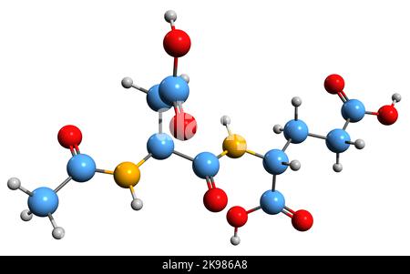 3D immagine della formula scheletrica dell'acido N-acetilaspartilglutammico - struttura chimica molecolare del neurotrasmettitore peptidico isolato su sfondo bianco Foto Stock