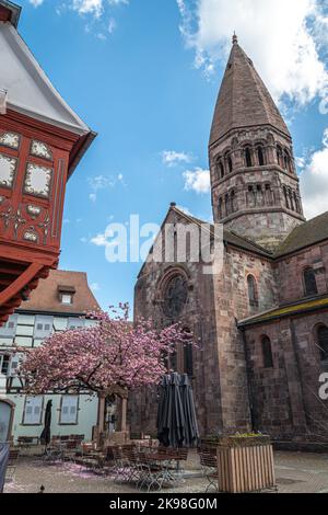 Chiesa di Santa fede, Sélestat, Selestat, Alsazia, Francia Foto Stock