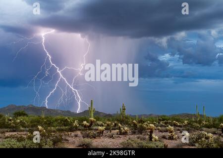 Tempesta monsonica con fulmini nel deserto dell'Arizona Foto Stock