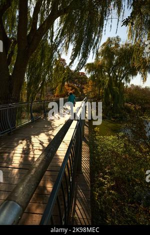 Il bellissimo giardino botanico di Chicago durante l'autunno Foto Stock