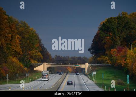 Il traffico corre oltre il fogliame dell'albero nei colori di caduta di picco che fiancheggiano la Pennsylvania turnpike Interstate i-76, tra Harrisburg e Philadelphia, Pennsylvania, Stati Uniti il 26 ottobre 2022. In due settimane gli americani si dirigono ai seggi elettorali per le elezioni di metà mandato, che potrebbero avere enormi implicazioni sulla forma della Nazione. Credit: OOGImages/Alamy Live News Foto Stock