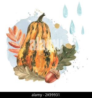 Una zucca allungata, quercia e foglie di rowan, un acorno sullo sfondo di gocce di pioggia. Illustrazione di acquerello disegnata a mano isolata su backgro bianco Foto Stock