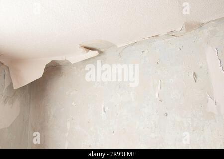 rimozione della vecchia carta da parati dalle pareti in una stanza di un edificio residenziale, ristrutturazione di un appartamento Foto Stock