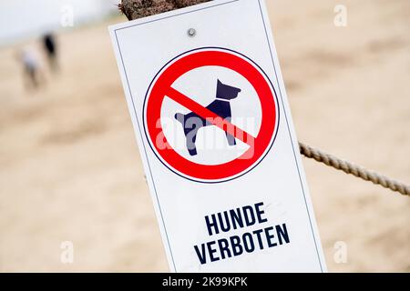 Dangast, Germania. 17th Ott 2022. Sulla spiaggia di Dangast, sulla baia di Jade, si trova un cartello con l'iscrizione "cani non ammessi". Credit: Hauke-Christian Dittrich/dpa/Alamy Live News Foto Stock