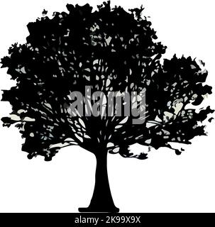 silhouette ad albero isolata su sfondo bianco. Illustrazione vettoriale Illustrazione Vettoriale