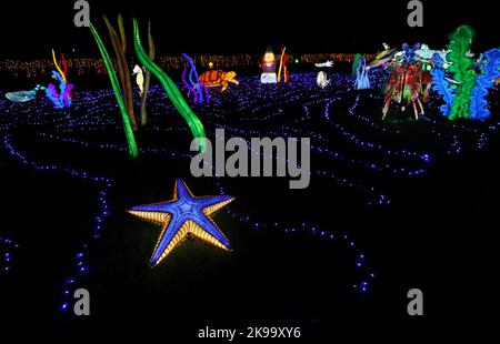 Parigi, Francia. 26th Ott 2022. Le sculture illuminate vengono raffigurate durante un tour dei media di un festival di luci allo zoo di Thoiry vicino a Parigi, Francia, 26 ottobre 2022. Il festival avrà inizio qui domenica, con circa 2.000 sculture illuminate. Credit: Gao Jing/Xinhua/Alamy Live News Foto Stock