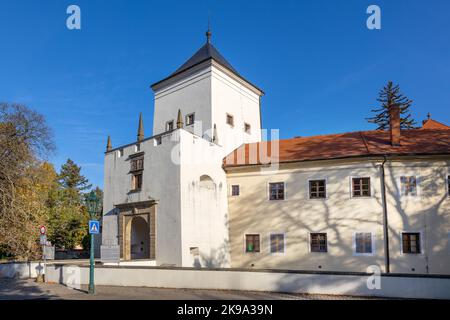 zamek a muzeum, Bystrice pod Hostynem, Zlinsky kraj, Repubblica Ceca / castelli e museo, Bystrice pod Hostynem città, Moravia, Repubblica Ceca Foto Stock