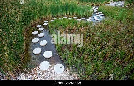 Zen come pietra percorso in acqua Foto Stock