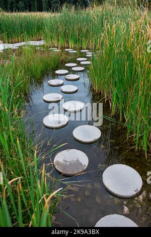 Zen come pietra percorso in acqua Foto Stock