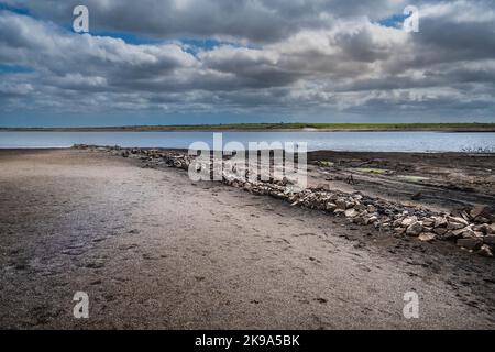 I resti di una vecchia Cornish Hedge esposti dalla caduta dei livelli di acqua causata da condizioni di siccità gravi al lago Colliford Reservoir su Bodmin Moor in Foto Stock