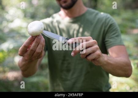 mani di uomo che tagliano un grosso fungo nella foresta Foto Stock