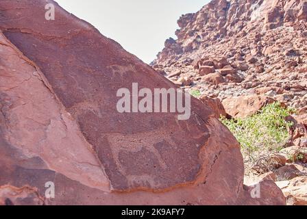 Twyfelfontein, Namibia - 07-16-2013: Le incisioni rupestri sono patrimonio dell'umanità dell'UNESCO nel nord della Namibia Foto Stock