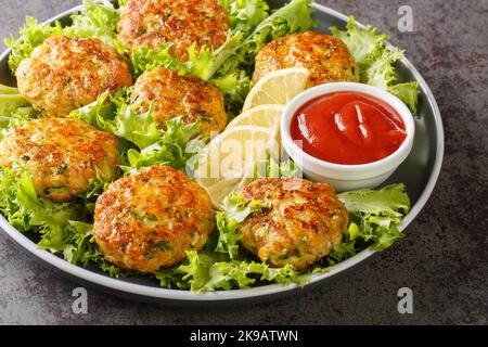 succulenta e deliziosa cotoletta di pollo fritta con formaggio, carote, zucchine ed erbe in un piatto sul tavolo. Orizzontale Foto Stock